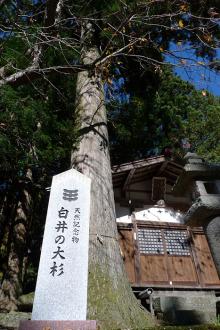 気功　ひだの神社