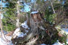 気功　飛騨の風景