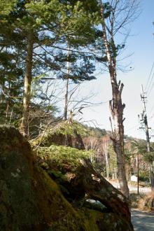 気功　高山　晩秋　DP1